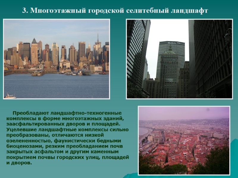 3. Многоэтажный городской селитебный ландшафт     Преобладают ландшафтно-техногенные комплексы в форме